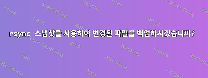 rsync 스냅샷을 사용하여 변경된 파일을 백업하시겠습니까?