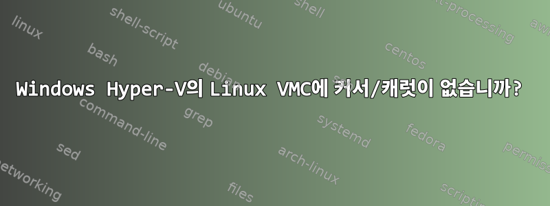 Windows Hyper-V의 Linux VMC에 커서/캐럿이 없습니까?