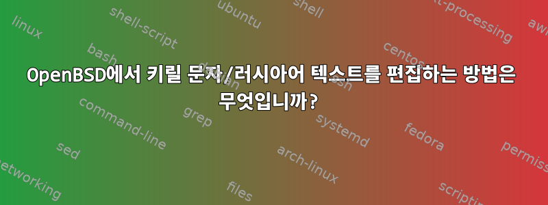 OpenBSD에서 키릴 문자/러시아어 텍스트를 편집하는 방법은 무엇입니까?