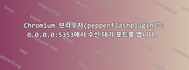 Chromium 브라우저(pepperflashplugin)는 0.0.0.0:5353에서 수신 대기 포트를 엽니다.