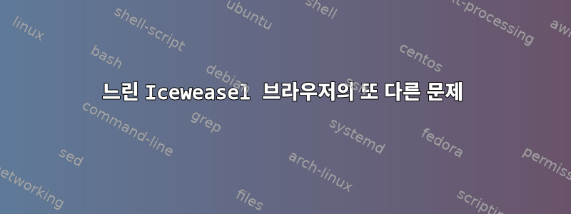 느린 Iceweasel 브라우저의 또 다른 문제