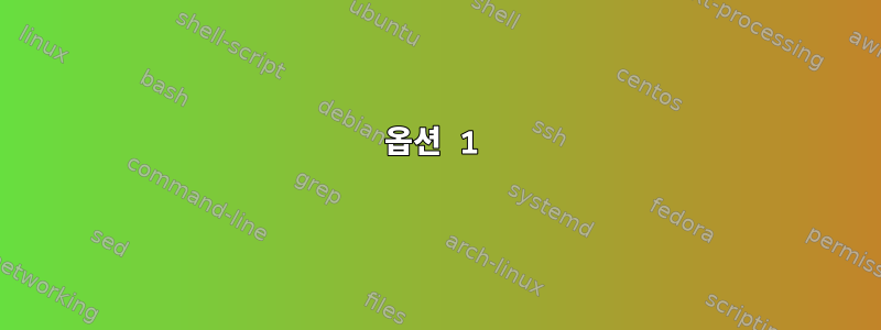 옵션 1