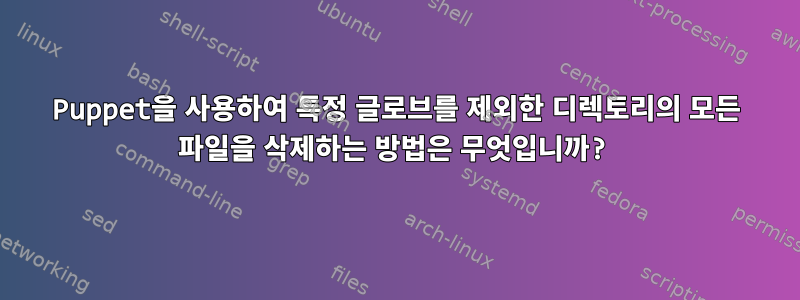 Puppet을 사용하여 특정 글로브를 제외한 디렉토리의 모든 파일을 삭제하는 방법은 무엇입니까?