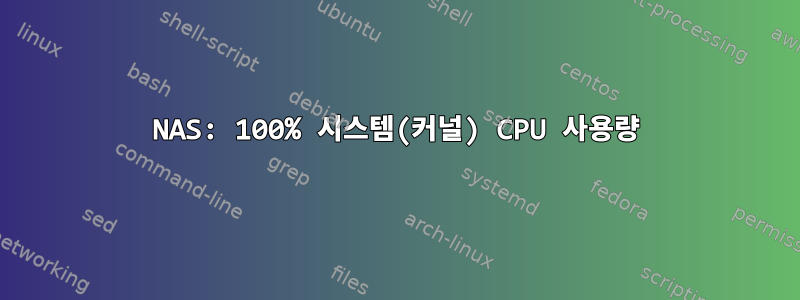 NAS: 100% 시스템(커널) CPU 사용량