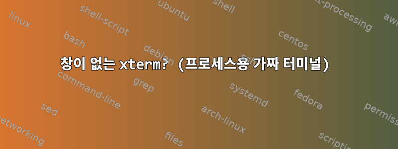 창이 없는 xterm? (프로세스용 가짜 터미널)