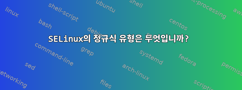 SELinux의 정규식 유형은 무엇입니까?