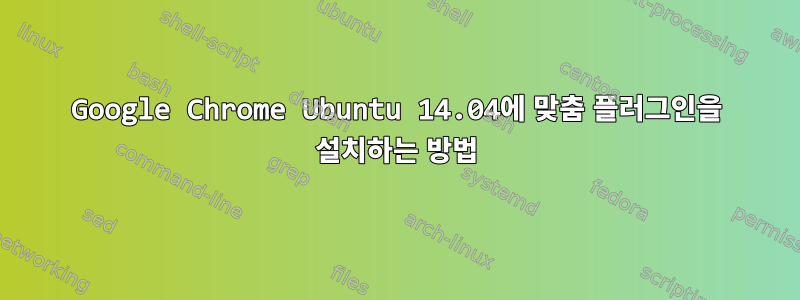 Google Chrome Ubuntu 14.04에 맞춤 플러그인을 설치하는 방법