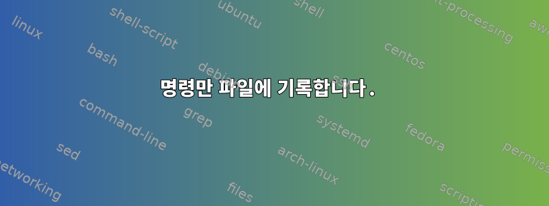 명령만 파일에 기록합니다.