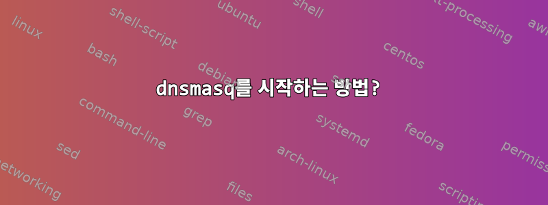 dnsmasq를 시작하는 방법?