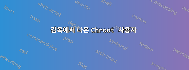 감옥에서 나온 Chroot 사용자