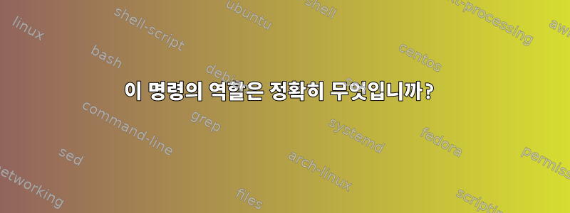 이 명령의 역할은 정확히 무엇입니까?