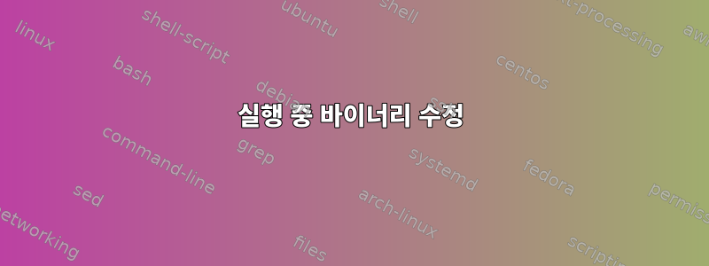 실행 중 바이너리 수정