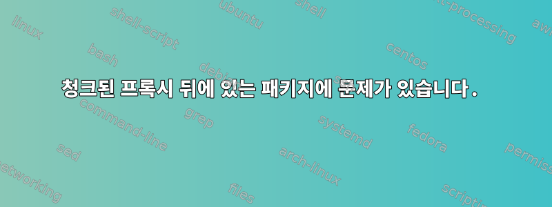 청크된 프록시 뒤에 있는 패키지에 문제가 있습니다.