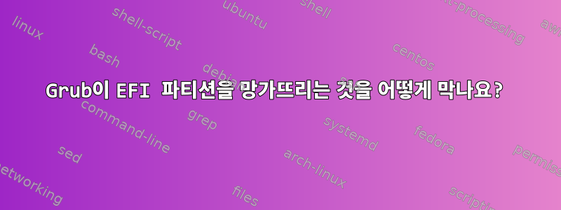 Grub이 EFI 파티션을 망가뜨리는 것을 어떻게 막나요?