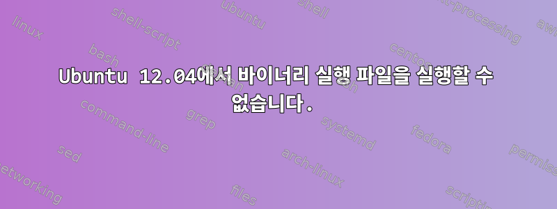 Ubuntu 12.04에서 바이너리 실행 파일을 실행할 수 없습니다.