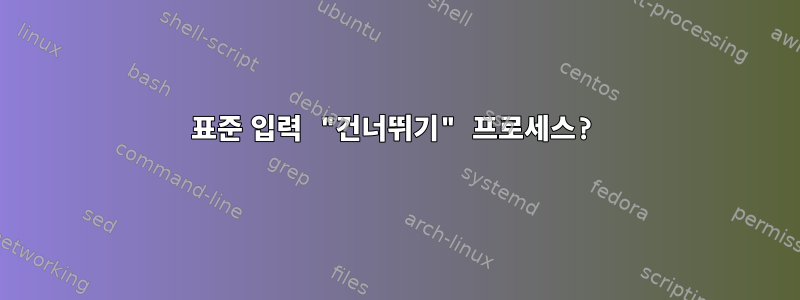 표준 입력 "건너뛰기" 프로세스?