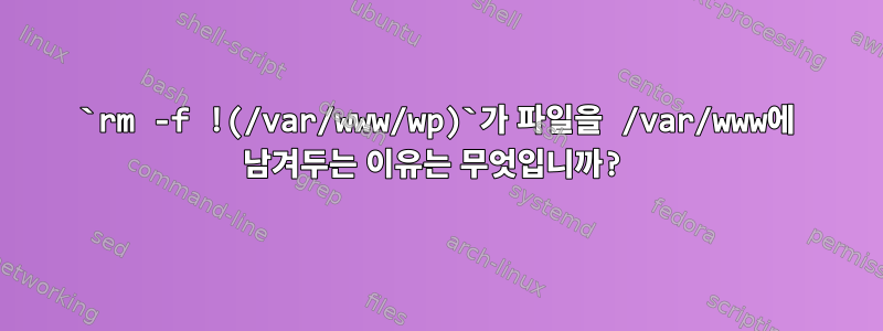 `rm -f !(/var/www/wp)`가 파일을 /var/www에 남겨두는 이유는 무엇입니까?