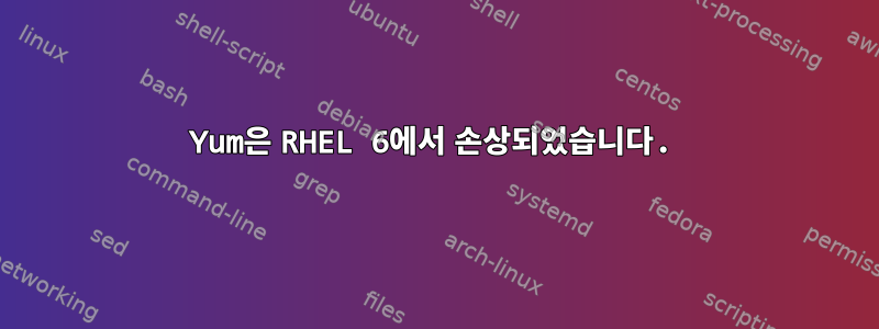 Yum은 RHEL 6에서 손상되었습니다.