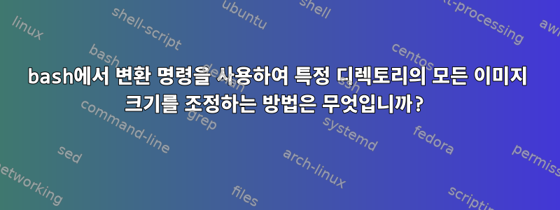 bash에서 변환 명령을 사용하여 특정 디렉토리의 모든 이미지 크기를 조정하는 방법은 무엇입니까?