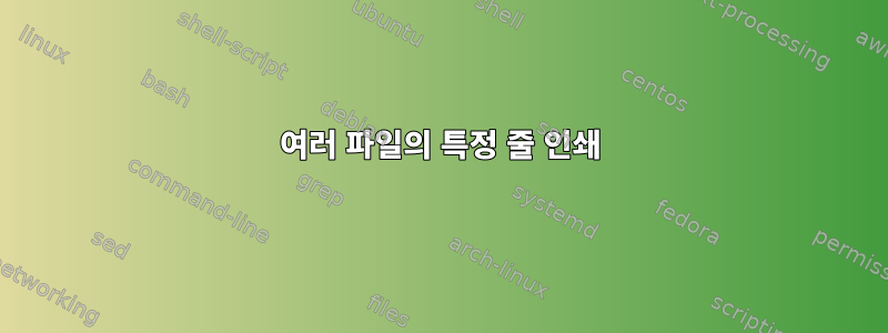 여러 파일의 특정 줄 인쇄