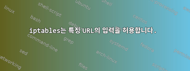 iptables는 특정 URL의 입력을 허용합니다.