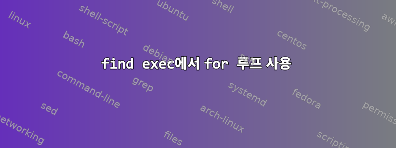 find exec에서 for 루프 사용