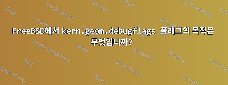 FreeBSD에서 kern.geom.debugflags 플래그의 목적은 무엇입니까?