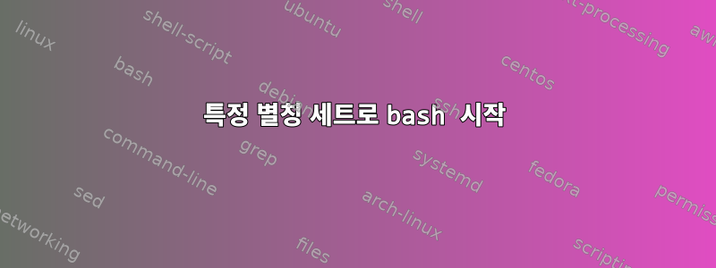 특정 별칭 세트로 bash 시작