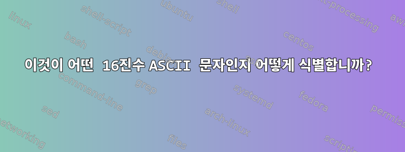 이것이 어떤 16진수 ASCII 문자인지 어떻게 식별합니까?