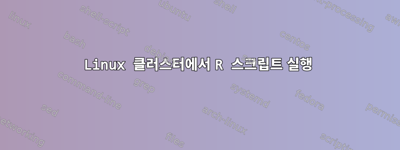 Linux 클러스터에서 R 스크립트 실행