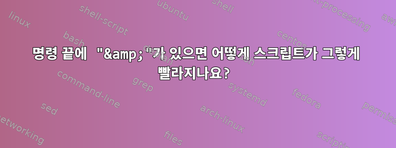 명령 끝에 "&amp;"가 있으면 어떻게 스크립트가 그렇게 빨라지나요?