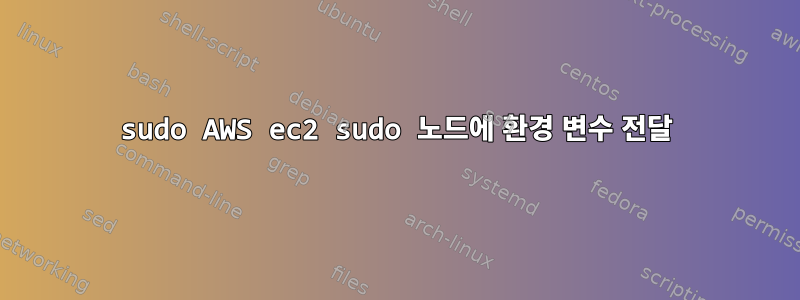 sudo AWS ec2 sudo 노드에 환경 변수 전달