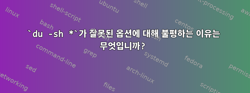 `du -sh *`가 잘못된 옵션에 대해 불평하는 이유는 무엇입니까?