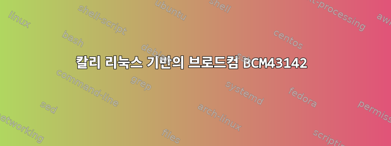 칼리 리눅스 기반의 브로드컴 BCM43142