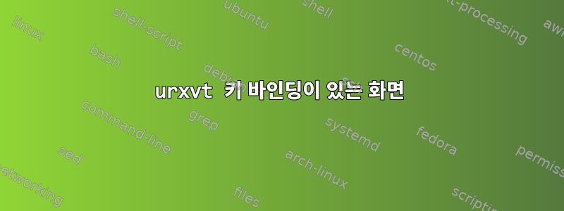 urxvt 키 바인딩이 있는 화면