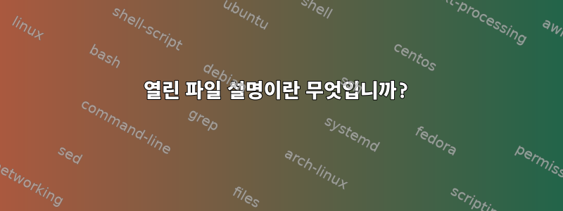 열린 파일 설명이란 무엇입니까?