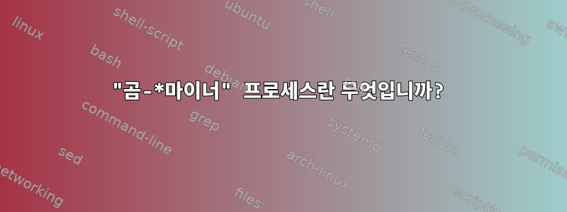 "곰-*마이너" 프로세스란 무엇입니까?