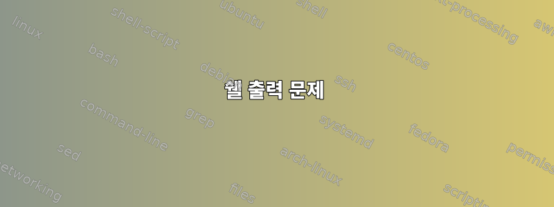 쉘 출력 문제