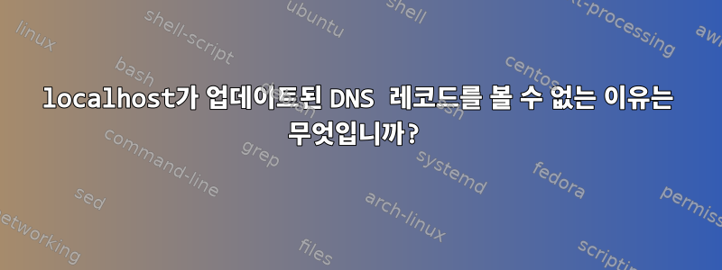 localhost가 업데이트된 DNS 레코드를 볼 수 없는 이유는 무엇입니까?