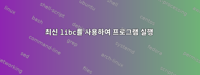 최신 libc를 사용하여 프로그램 실행