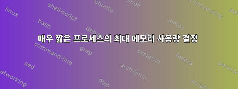 매우 짧은 프로세스의 최대 메모리 사용량 결정