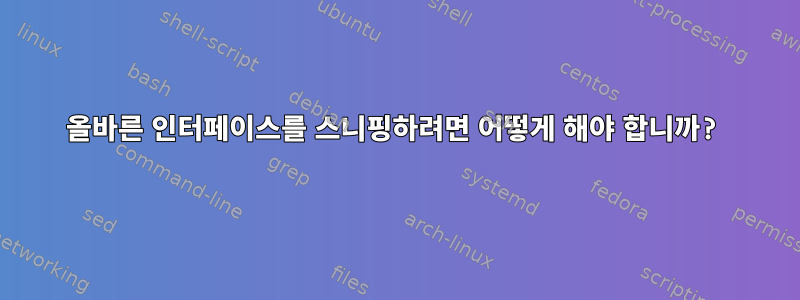 올바른 인터페이스를 스니핑하려면 어떻게 해야 합니까?