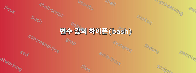 변수 값의 하이픈(bash)