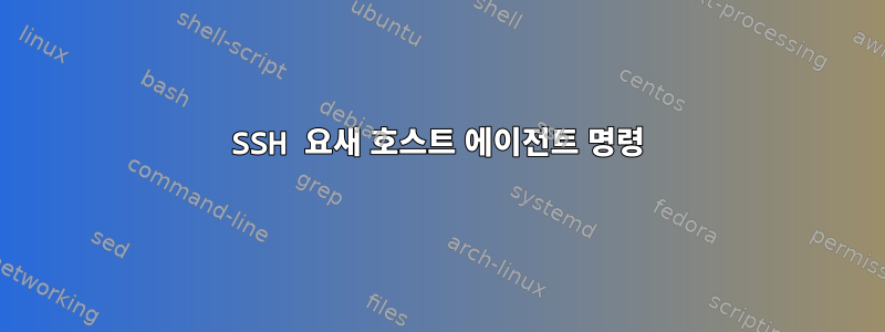 SSH 요새 호스트 에이전트 명령