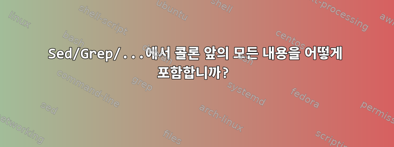 Sed/Grep/...에서 콜론 앞의 모든 내용을 어떻게 포함합니까?