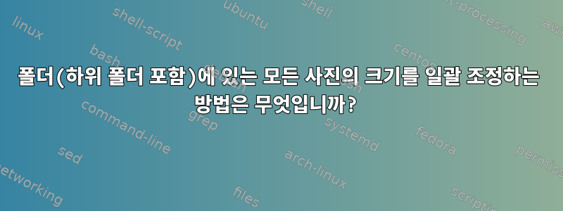 폴더(하위 폴더 포함)에 있는 모든 사진의 크기를 일괄 조정하는 방법은 무엇입니까?