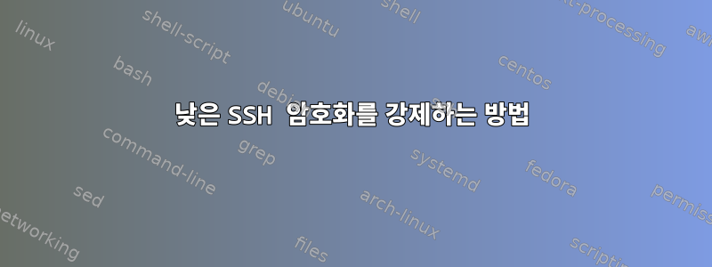 낮은 SSH 암호화를 강제하는 방법