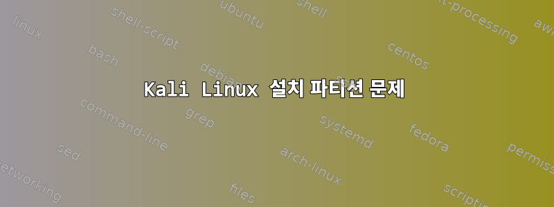 Kali Linux 설치 파티션 문제