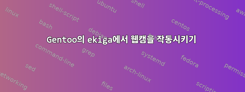 Gentoo의 ekiga에서 웹캠을 작동시키기