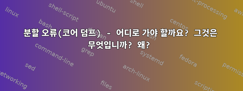 분할 오류(코어 덤프) - 어디로 가야 할까요? 그것은 무엇입니까? 왜?